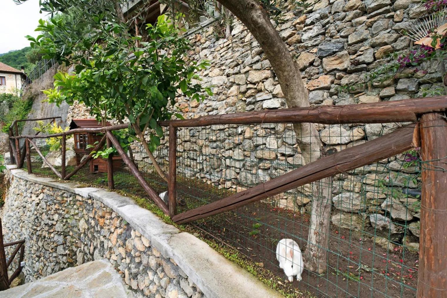 Agriturismo U'Spigu Nonna Annetta Nasino Екстер'єр фото